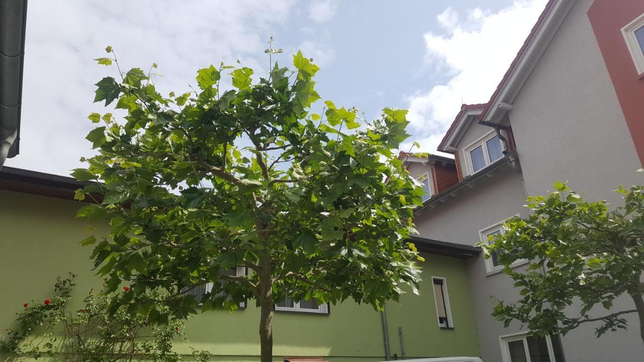 Pension Zechliner Hof Flecken Zechlin Экстерьер фото